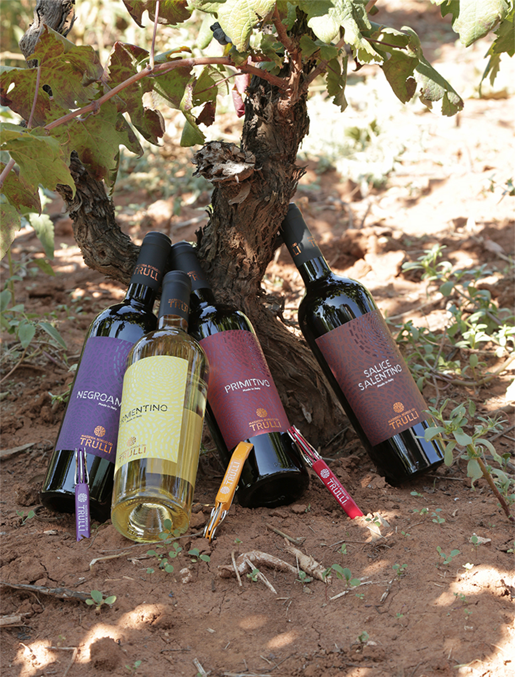 Primitivo Salento IGP 
