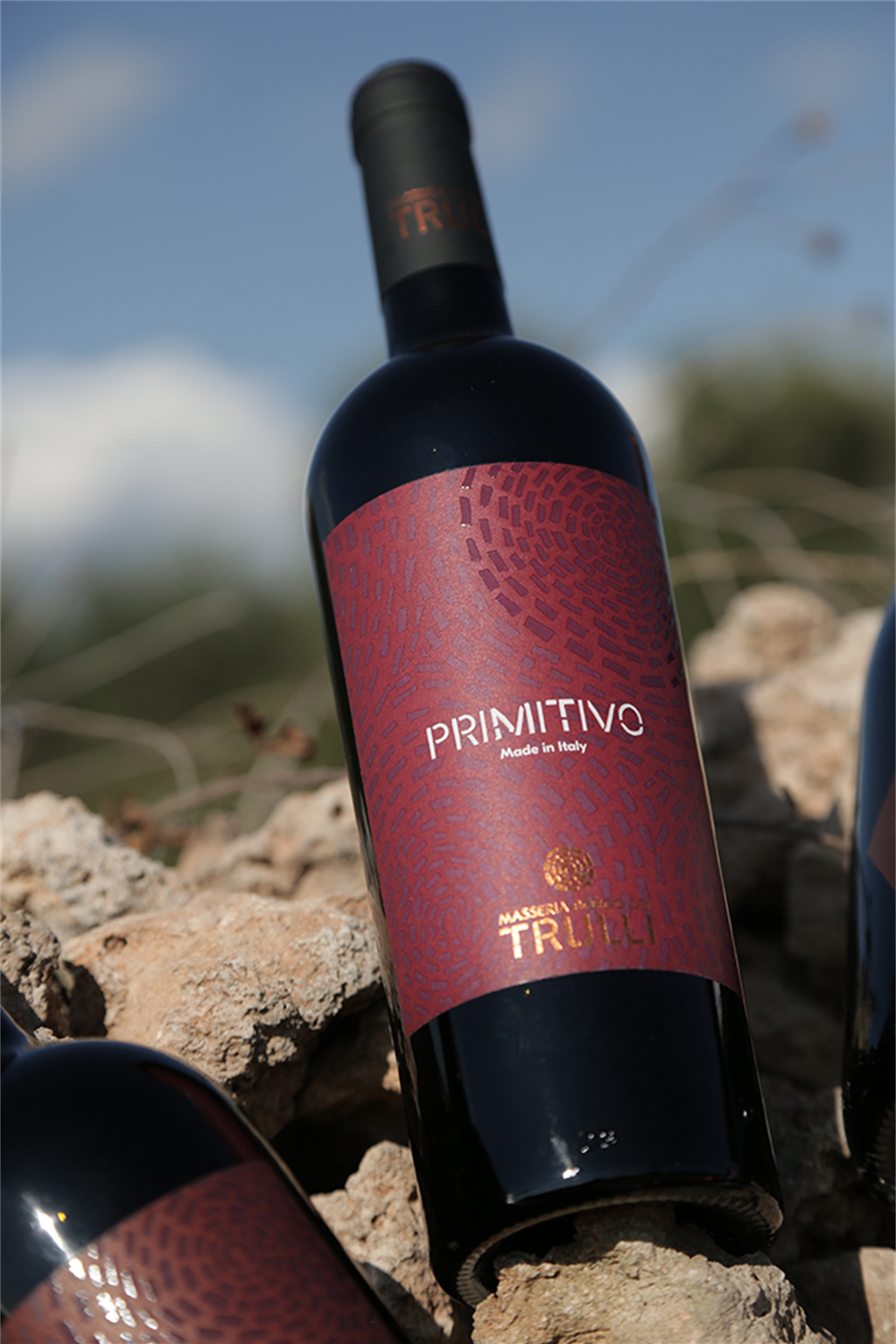 Primitivo Salento IGP 