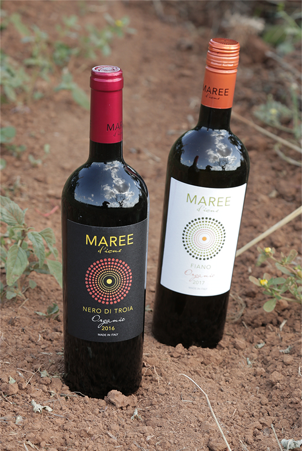 Fiano Puglia IGP Organic