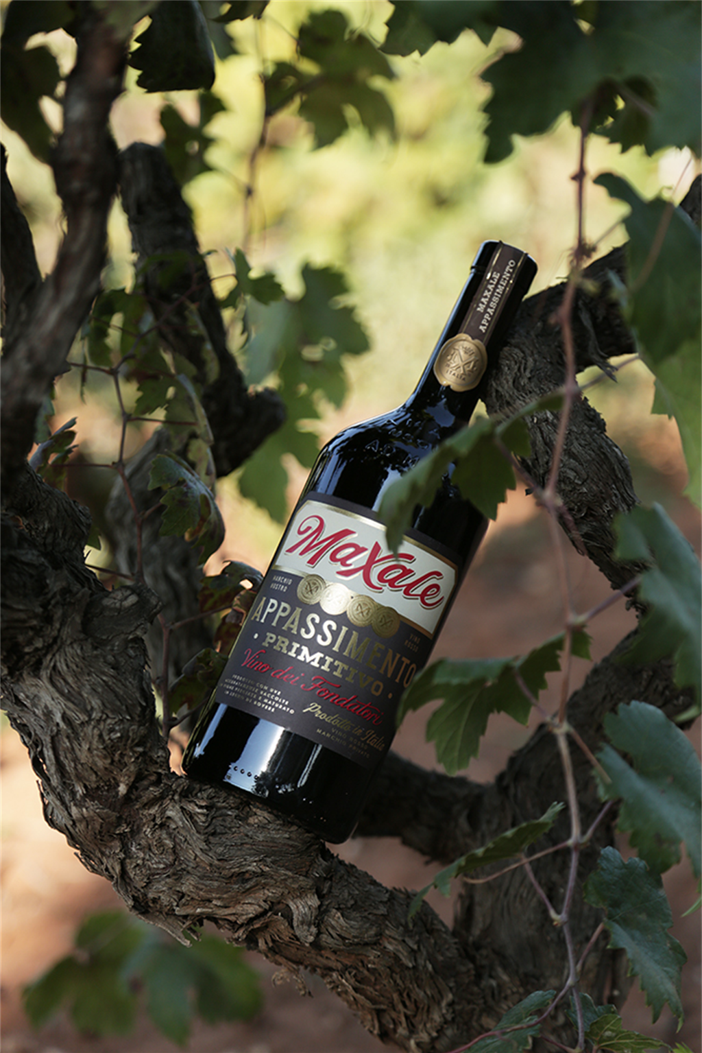 Primitivo Puglia Appassimento IGP