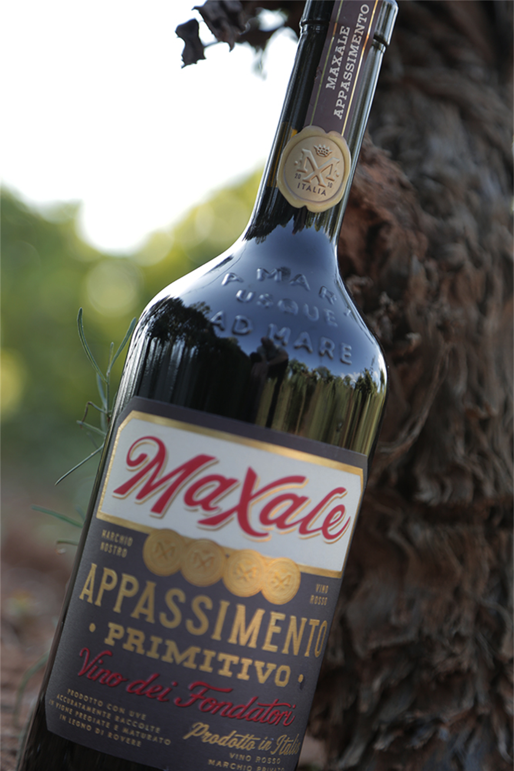 Primitivo Puglia Appassimento IGP