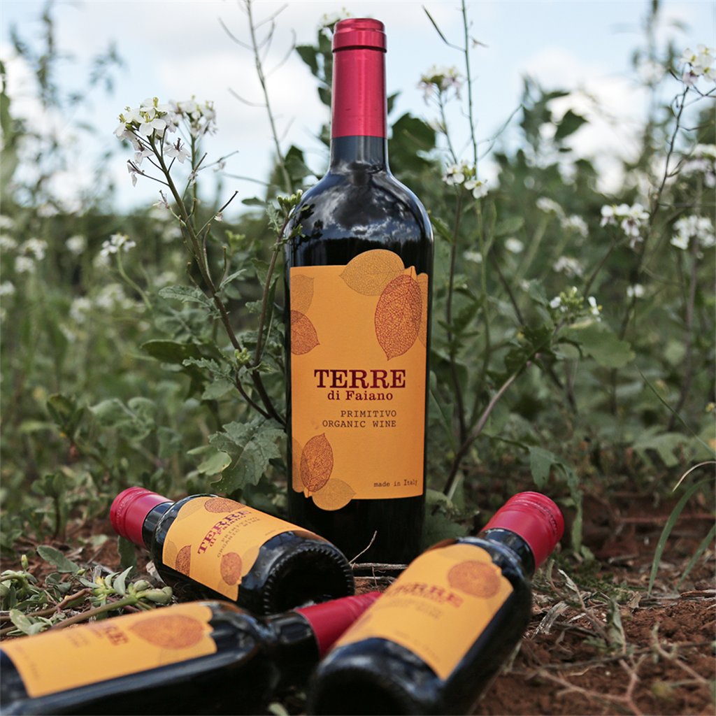 Primitivo Salento IGT Organic