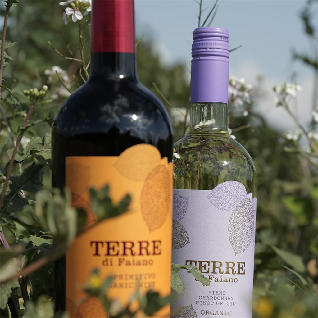 Primitivo Salento IGT Organic