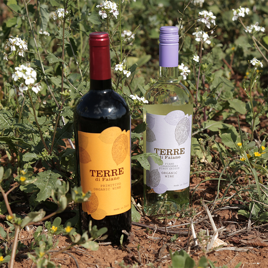 Primitivo Salento IGT Organic