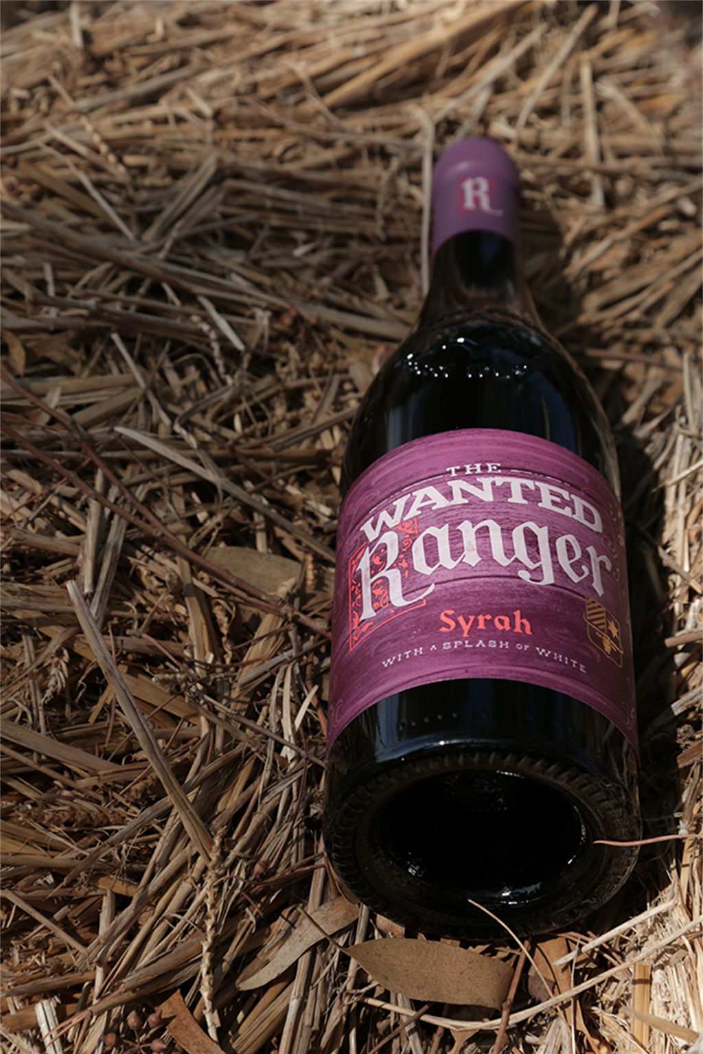 Ranger Syrah 