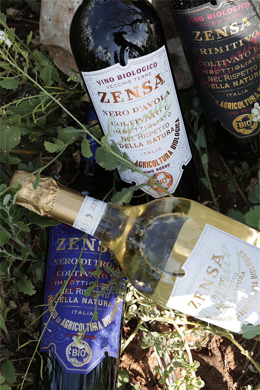 Nero di Troia di Puglia IGP Organic