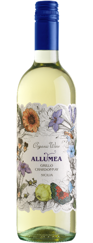 The wine has an elegant pale yellow hue, with a bouquet reminiscent of pineapple and lemon. The palate is fresh and crisp, with a great minerality and a long and lingering finish.
Perfect on its own or to accompany white meats, fish, pasta with white meat sauces.