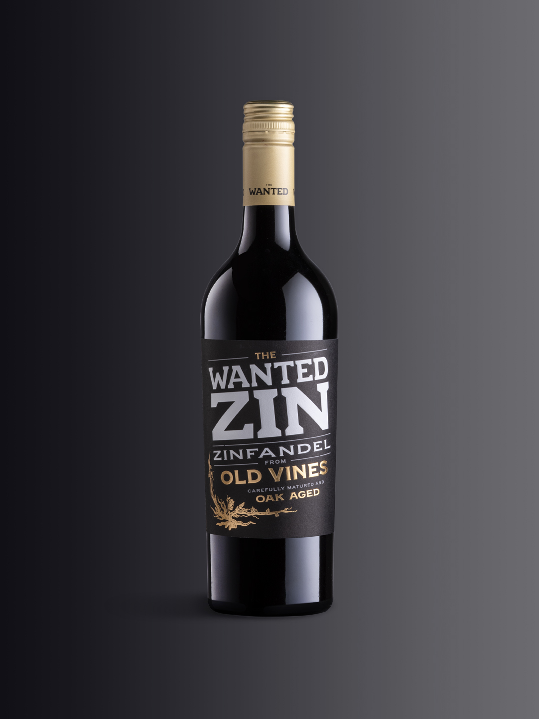 TheWanted_Zin_ok